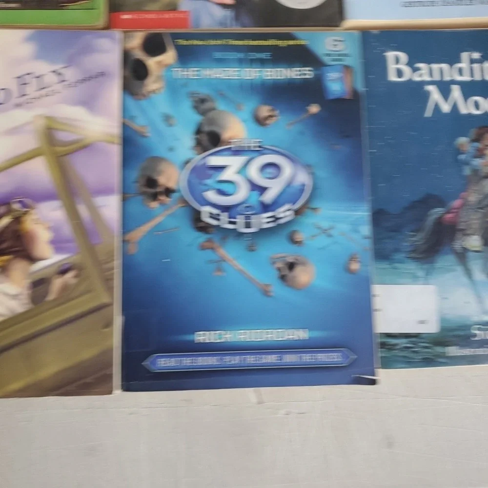 Lot 23 Books PB HB Teacher Classroom Reading Support Readers Homeschool Level‎ 4
